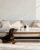 Teddy Cam - Videocamera di sorveglianza ricaricabile con gestione via App