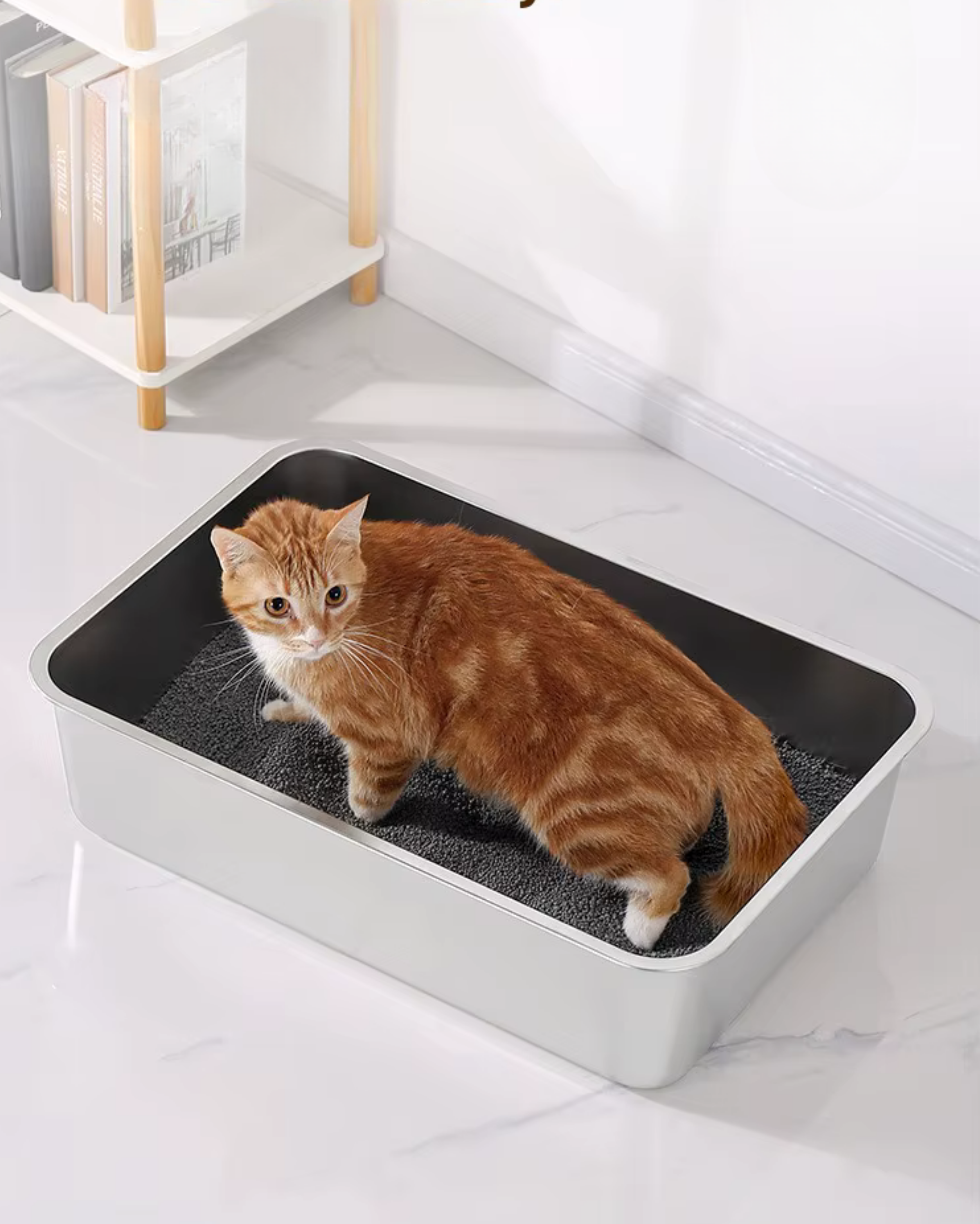 Katzentoilette Steel Basic – offene Katzentoilette aus Stahl