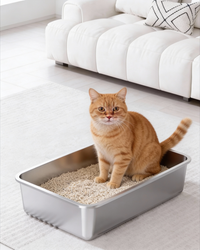 Katzentoilette Steel Basic – offene Katzentoilette aus Stahl