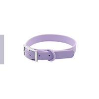 Collare+ Guinzaglio+ Bag+ Porta tag Walky Set