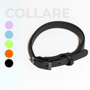 Collare+ Guinzaglio+ Bag+ Porta tag Walky Set