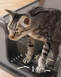 Letty Pet - lettiera in acciaio inox per gatti semi-chiusa