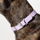 Collare Walky soft touch waterproof