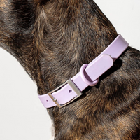 Collare Walky soft touch waterproof