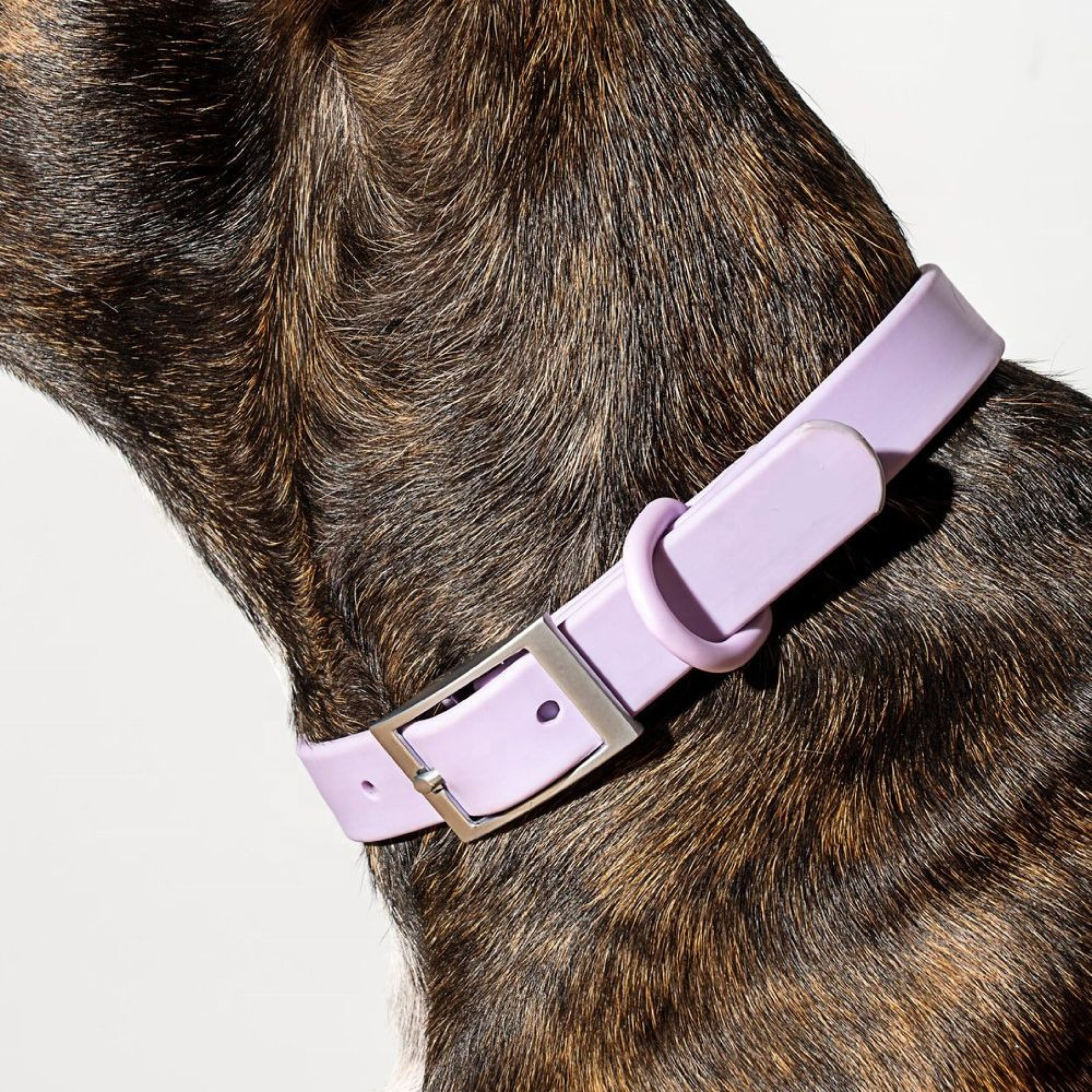 Collare Walky soft touch waterproof