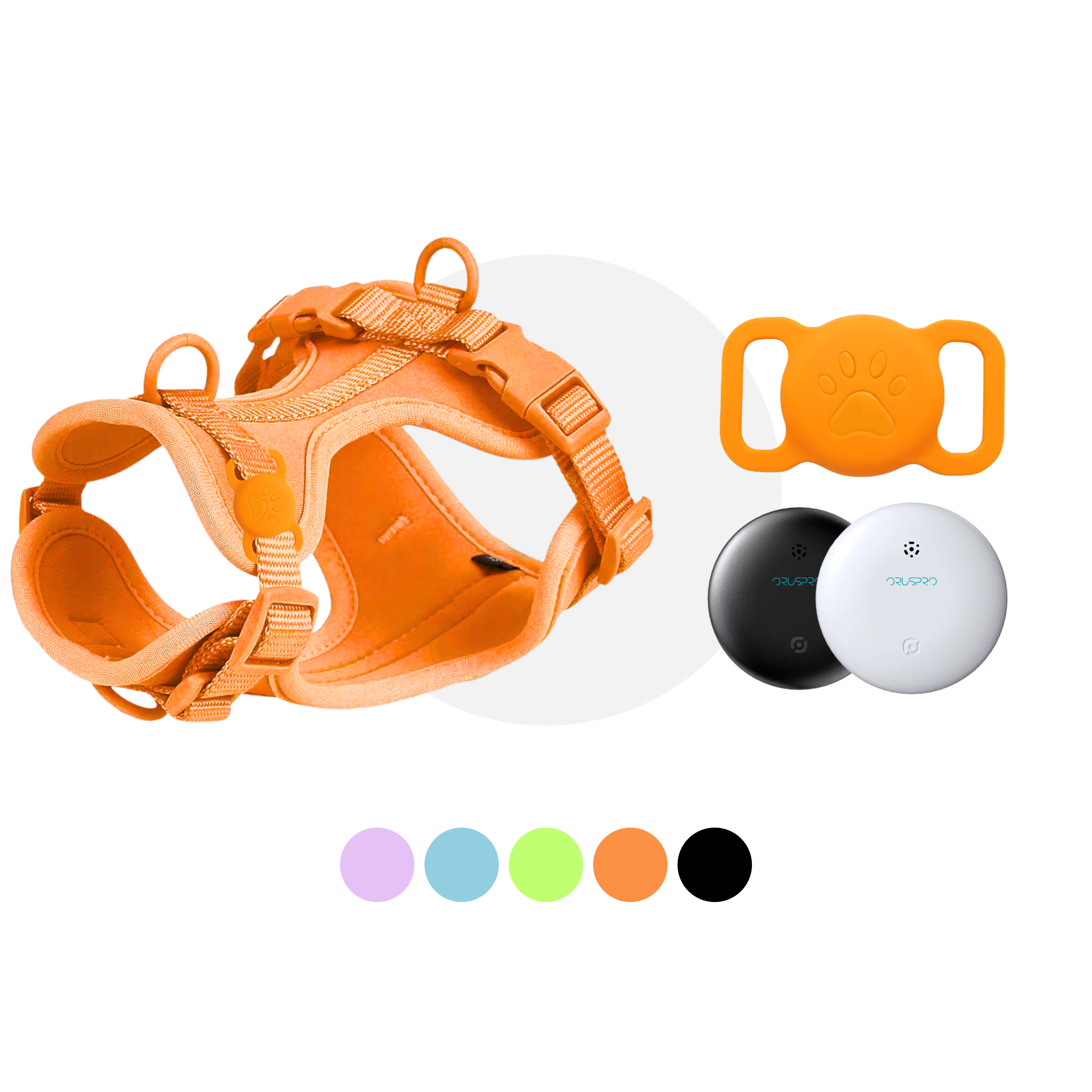 Pettorina+ Tag Dual localizzatore + Porta Tag Set City Walk Pet