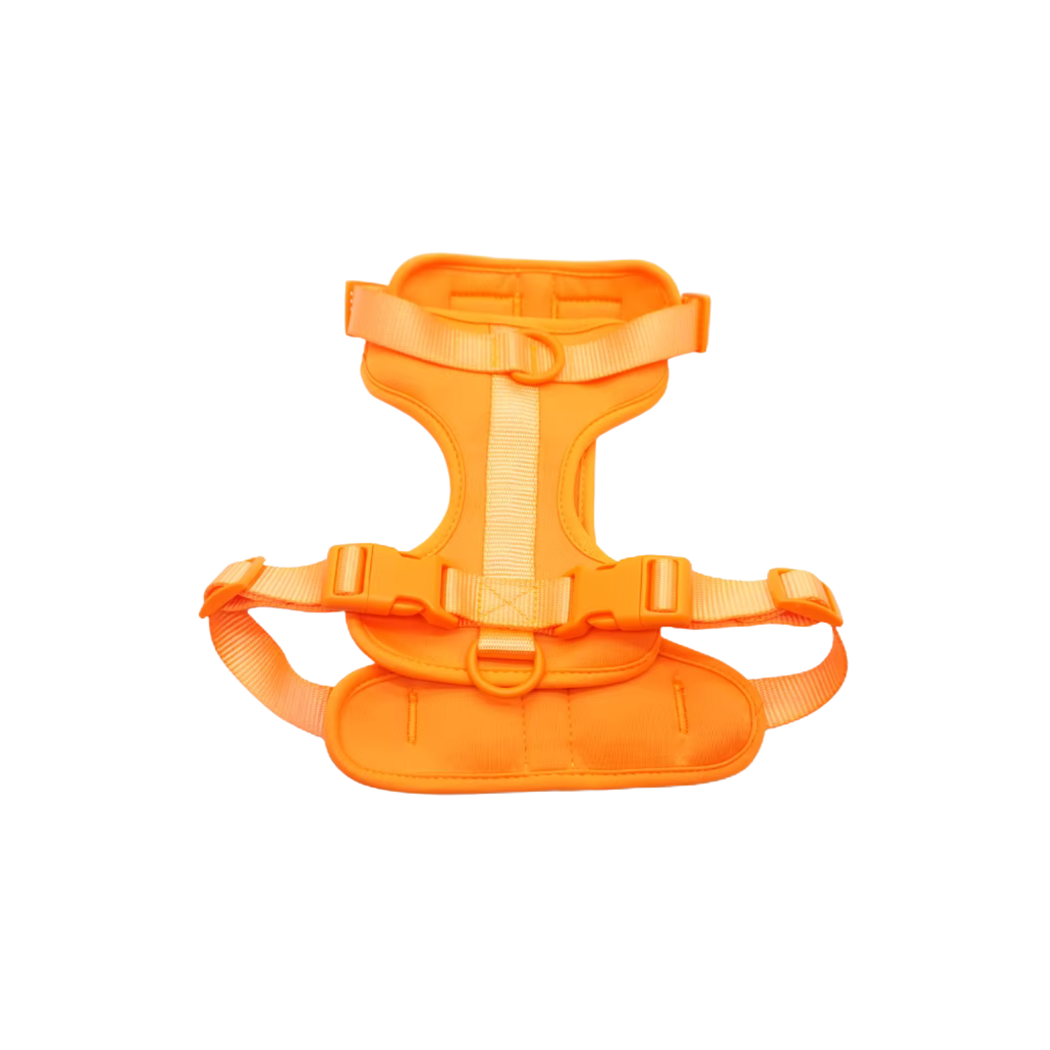 Pettorina+ Porta tag City Walk Pet