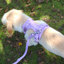 Pettorina+ Porta tag City Walk Pet