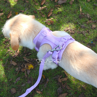 Pettorina+ Porta tag City Walk Pet