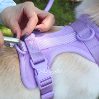 Pettorina+ Porta tag City Walk Pet