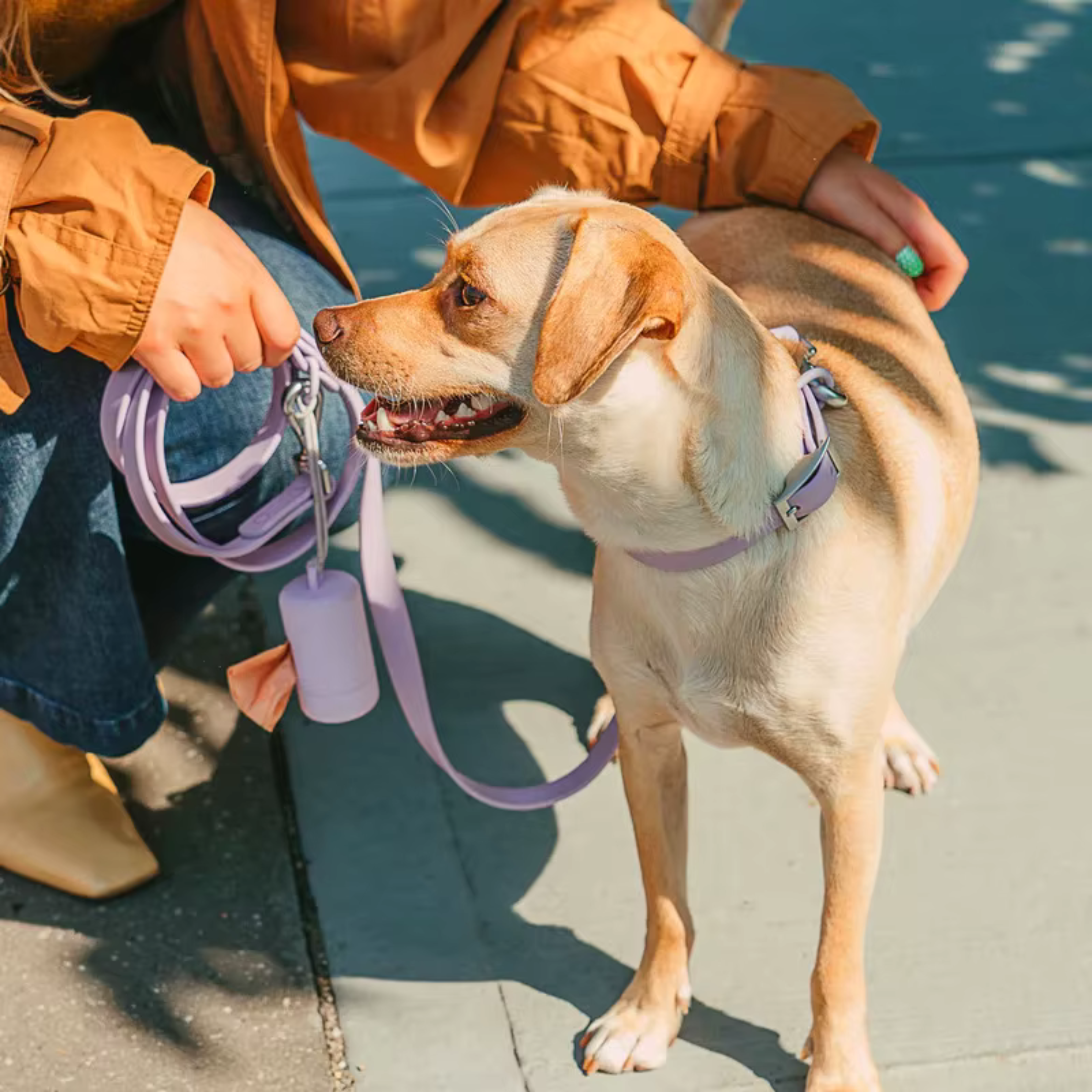 Collare+ Guinzaglio+ Bag+ Porta tag Walky Set