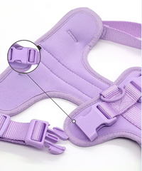 Pettorina+ Tag Dual localizzatore + Porta Tag Set City Walk Pet