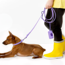 Collare+ Guinzaglio+ Bag+ Porta tag Walky Set