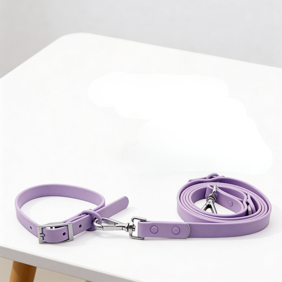 Collar+ Leash+ Bag+ Walky Set Tag Holder
