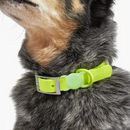 Collare+ Guinzaglio+ Bag+ Porta tag Walky Set