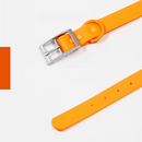 Collare+ Guinzaglio+ Bag+ Porta tag Walky Set