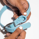 Collare+ Guinzaglio+ Bag+ Porta tag Walky Set