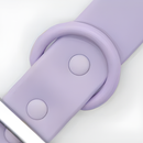 Collare+ Guinzaglio+ Bag+ Porta tag Walky Set