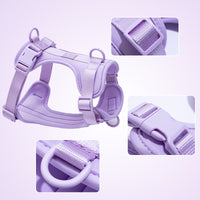 Pettorina+ Porta tag City Walk Pet