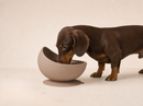 Slow Bowl Edge- Ciotola anti ingozzamento, antiribaltamento e antischizzo in silicone BPA free