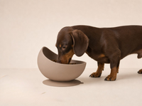 Slow Bowl Edge- Ciotola anti ingozzamento, antiribaltamento e antischizzo in silicone BPA free