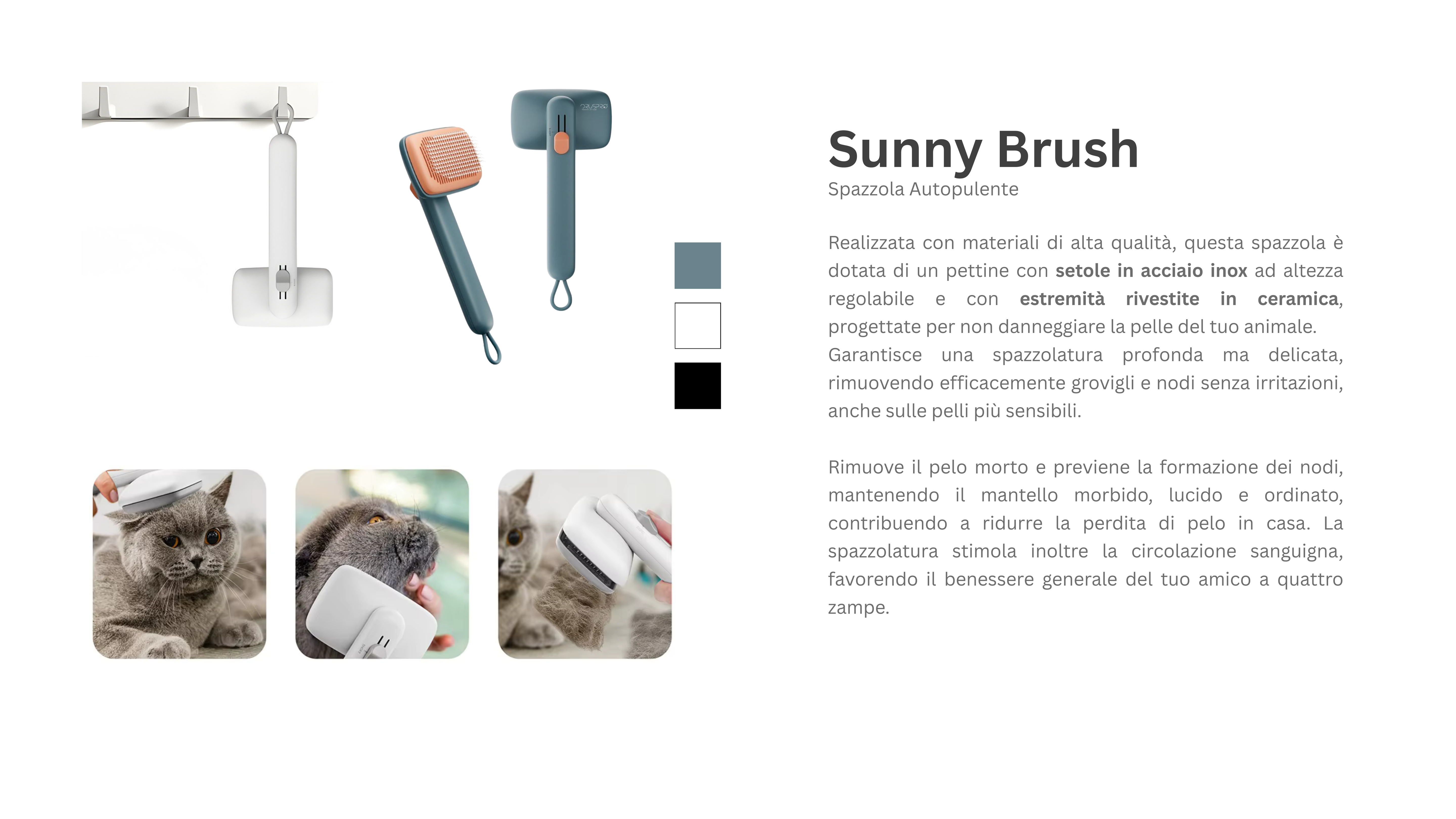 Sunny_Brush.png