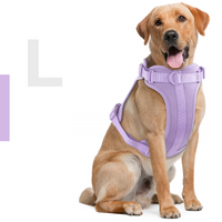 Pettorina+ Porta tag City Walk Pet