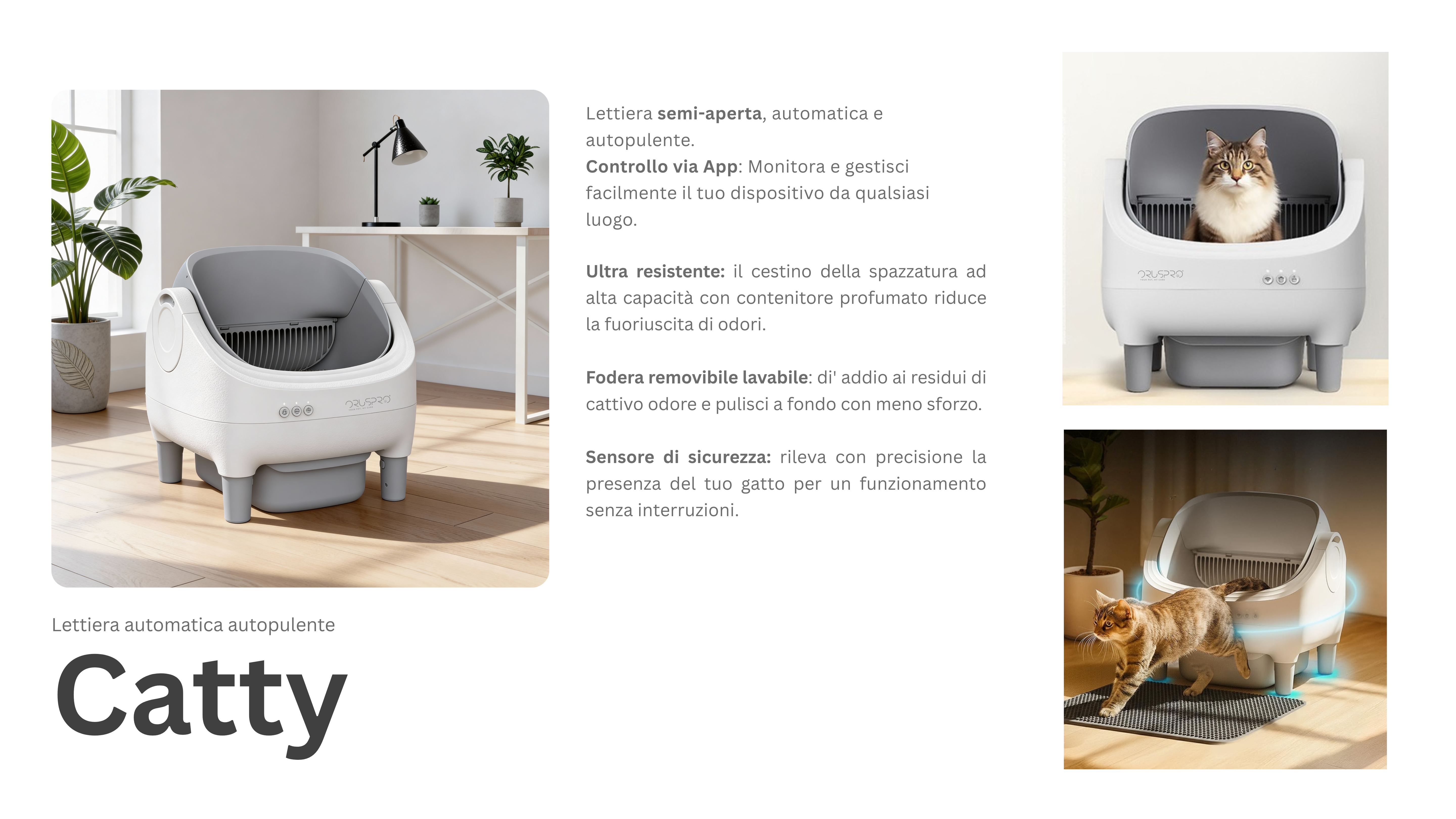 catty_presentazione_2.png