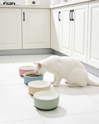 Pretty Bowl Ceramic- Ciotola 2 in 1 in ceramica e silicone alimentare con ventosa antiribaltamento