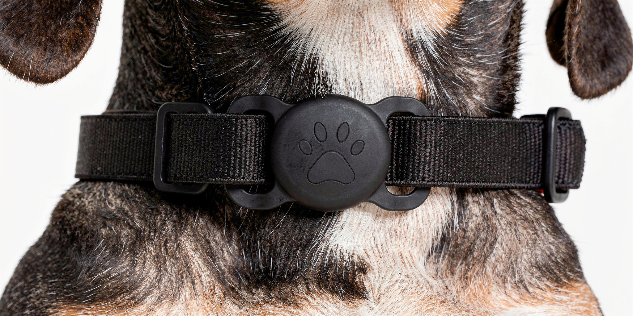 Taggy Dual- Tag finder compatibile con sistemi IOS e Android