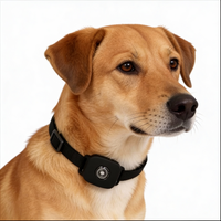 Fido Pet 4G - Tracker GPS per cani e gatti
