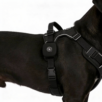 Fido Pet 4G - Tracker GPS per cani e gatti