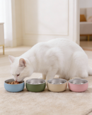 Pretty Bowl Classic- Ciotola 2 in 1 estraibile in acciaio inossidabile e silicone alimentare