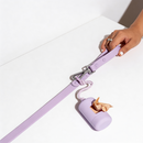 Collare+ Guinzaglio+ Bag+ Porta tag Walky Set