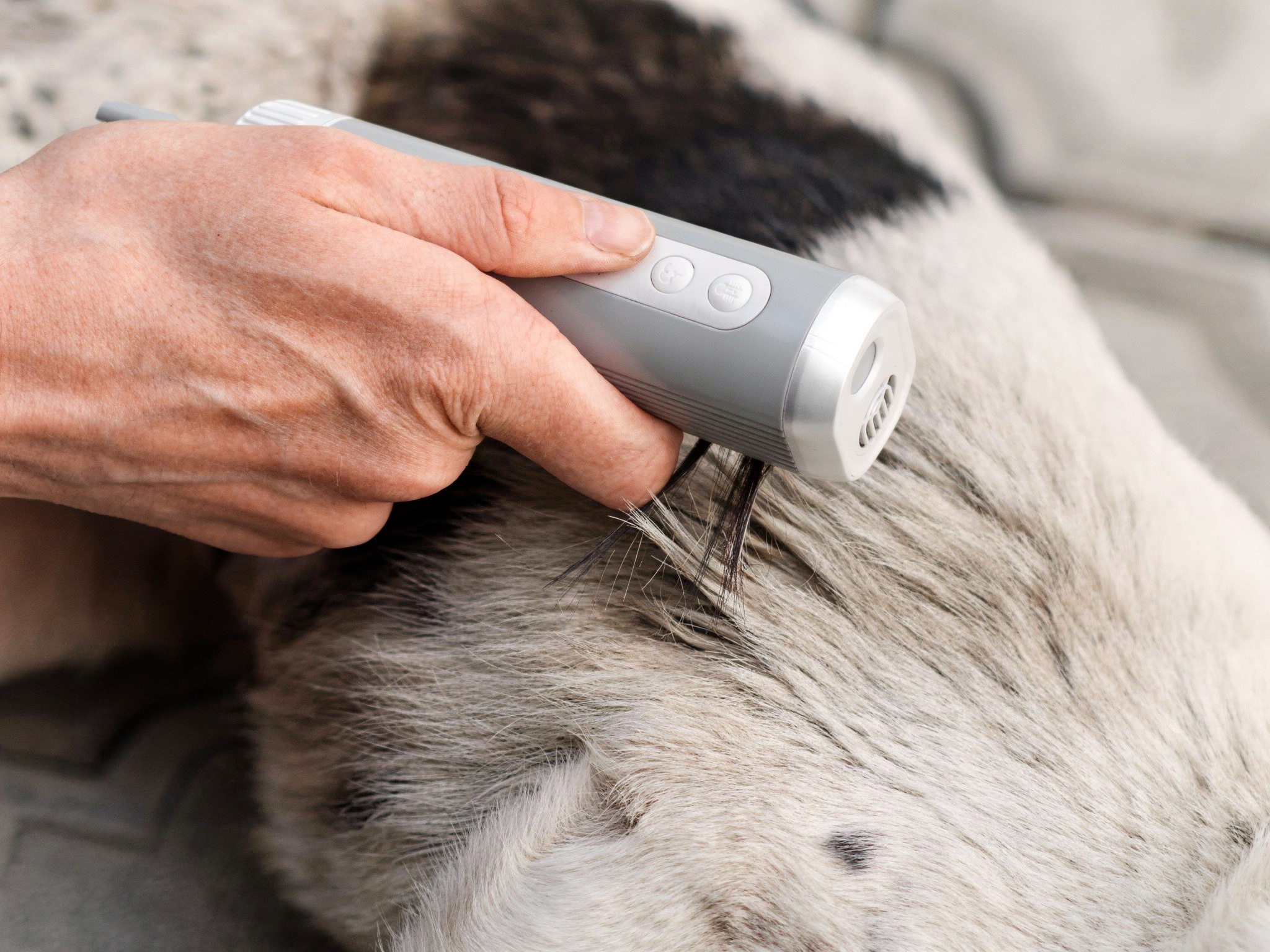 Sofy Pet - soffiatore ad aria con supporto da collo a mani libere