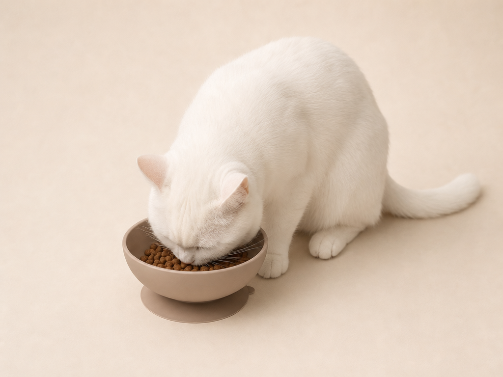 magnific__genera-gatto-bianco-che-ci-mangia-le-crocchette-de__10384.png