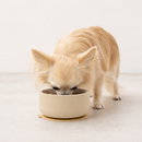 Pretty Bowl Ceramic - 2-in-1 ceramic and food-grade silicone bowl with anti-tip suction cup