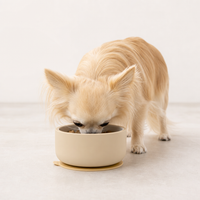 Pretty Bowl Ceramic - 2-in-1 ceramic and food-grade silicone bowl with anti-tip suction cup