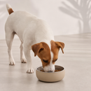 Pretty Bowl Classic - 2-in-1 Removable Stainless Steel and Food-Grade Silicone Bowl