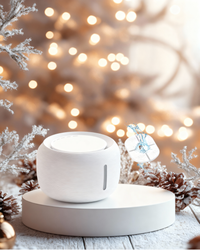 Sunny Bowl + Set 3 filtri Xmas edition