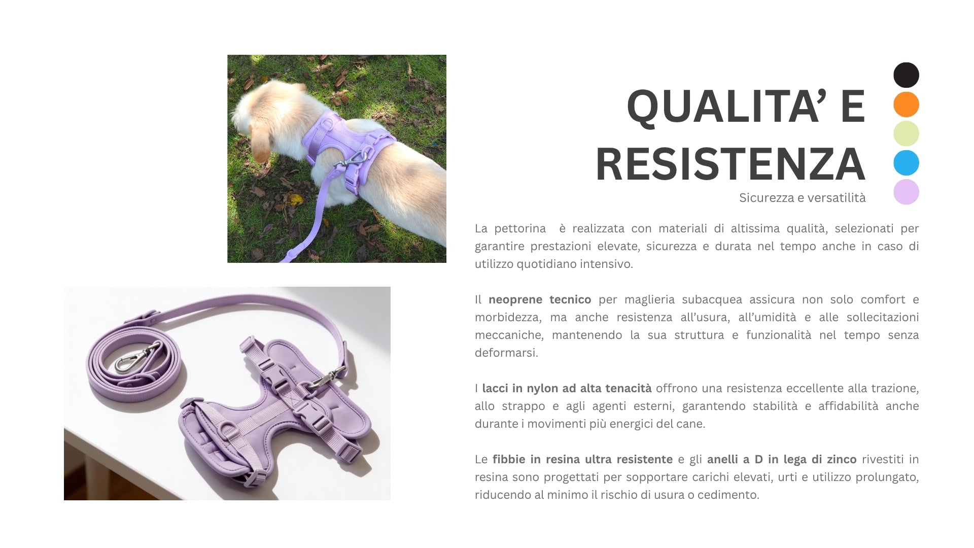 passeggiata_collari_guinzaglio_pettorina_e_kit_3.jpg