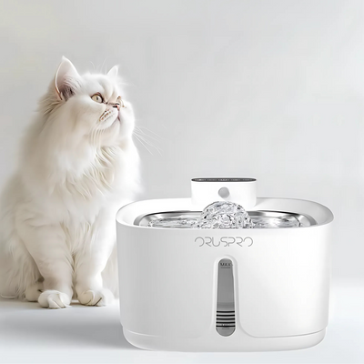 Automatic Fountains