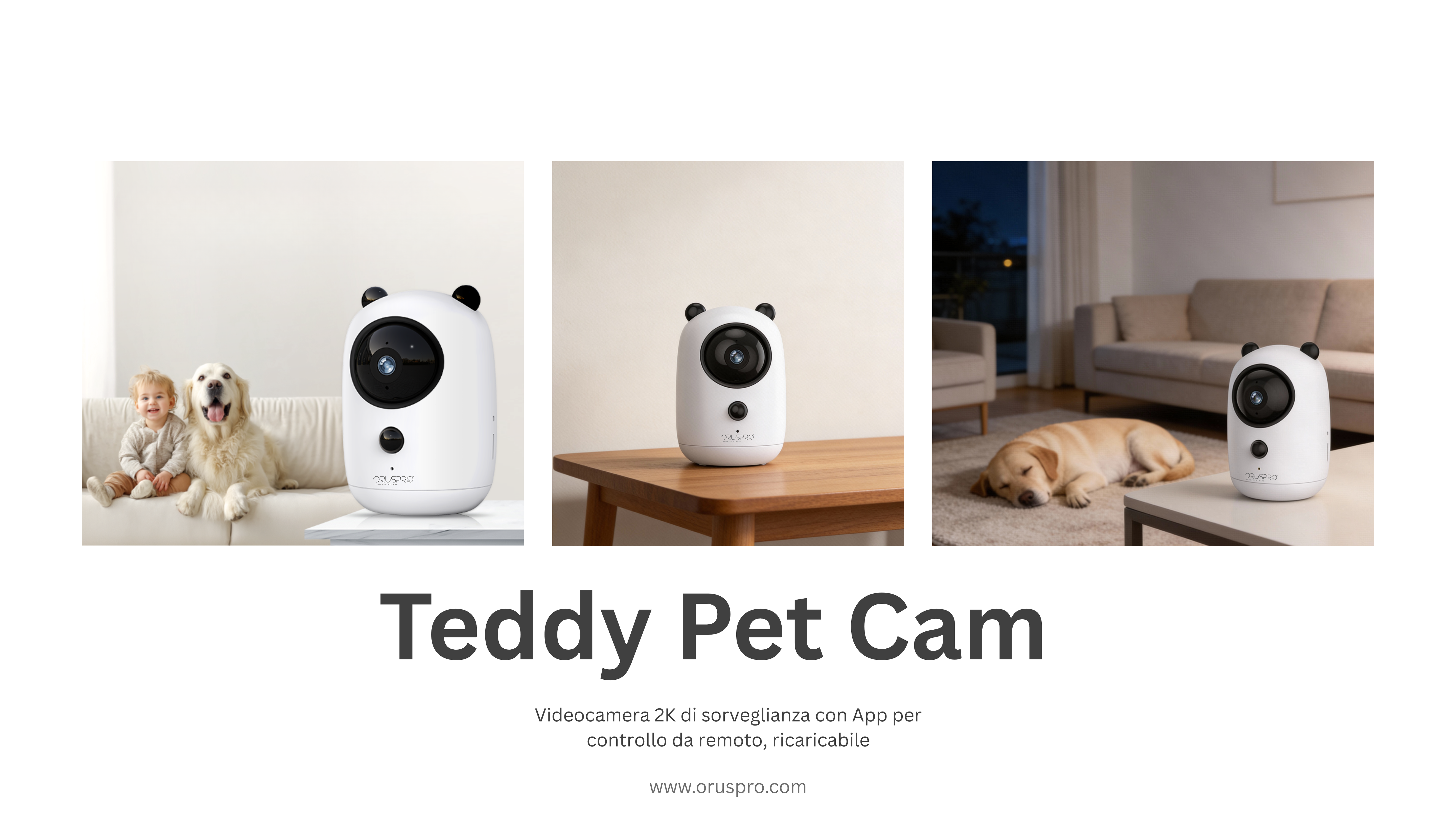 teddy_cam_def.png