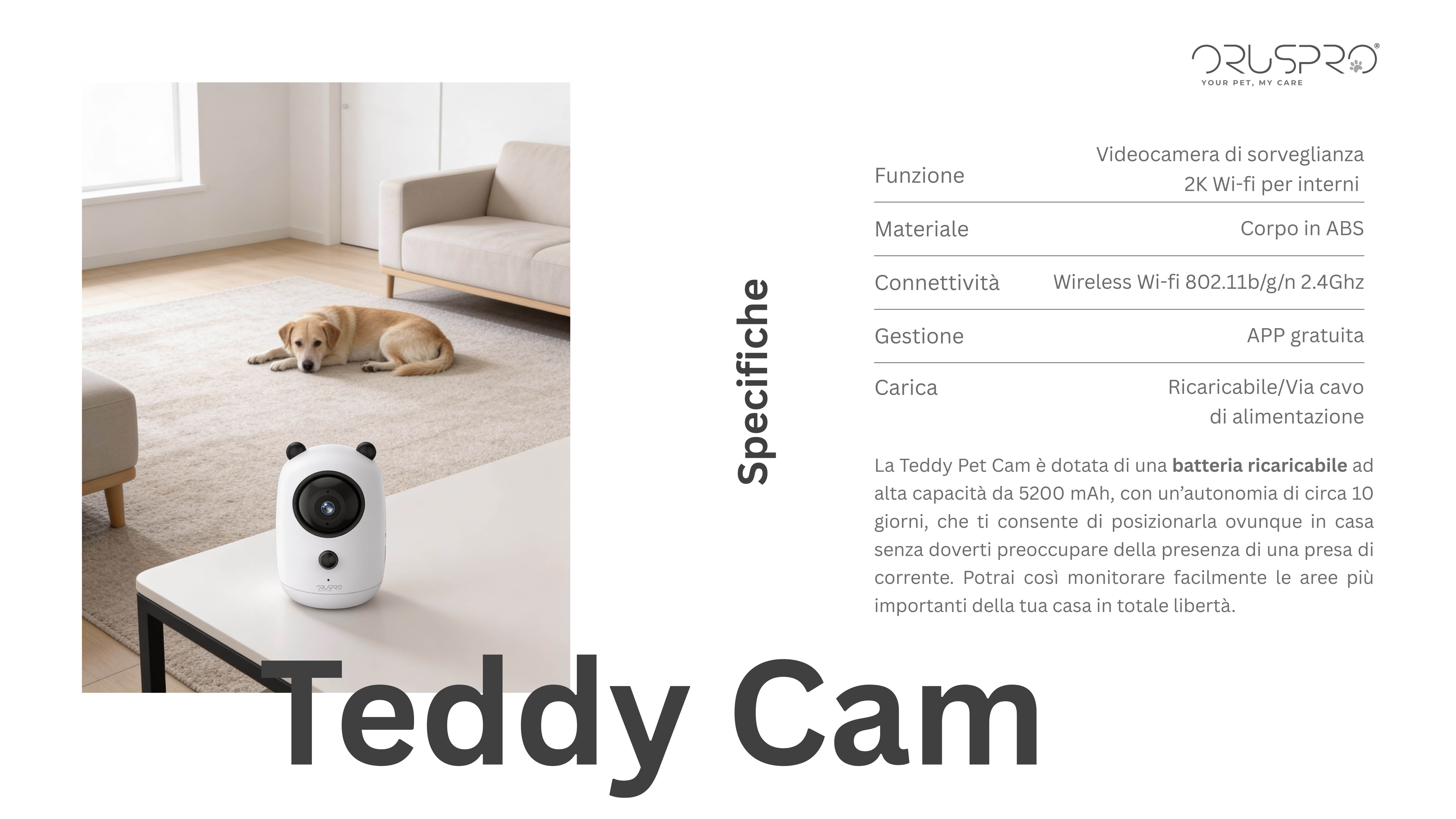 teddy_cam_def_2.png